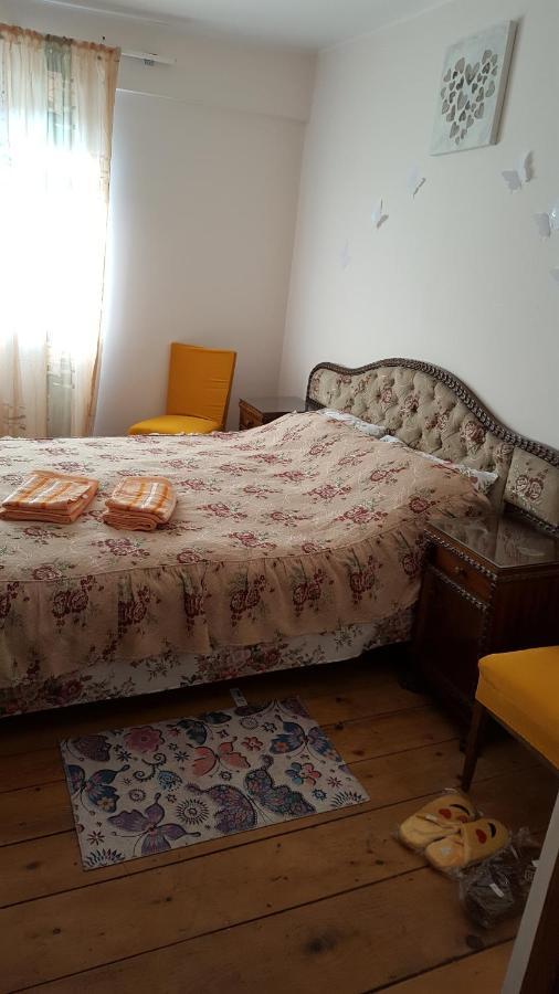 Valea Lunga-Cricov Casa Adelinaヴィラ エクステリア 写真