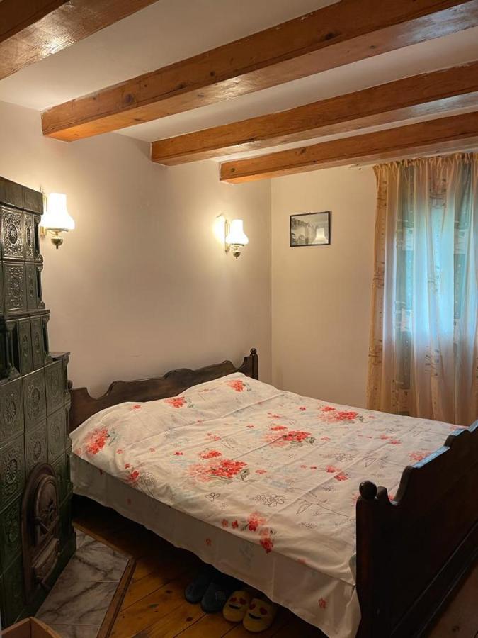 Valea Lunga-Cricov Casa Adelinaヴィラ エクステリア 写真