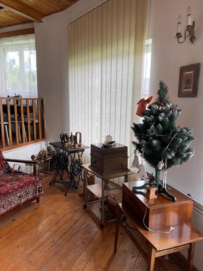 Valea Lunga-Cricov Casa Adelinaヴィラ エクステリア 写真