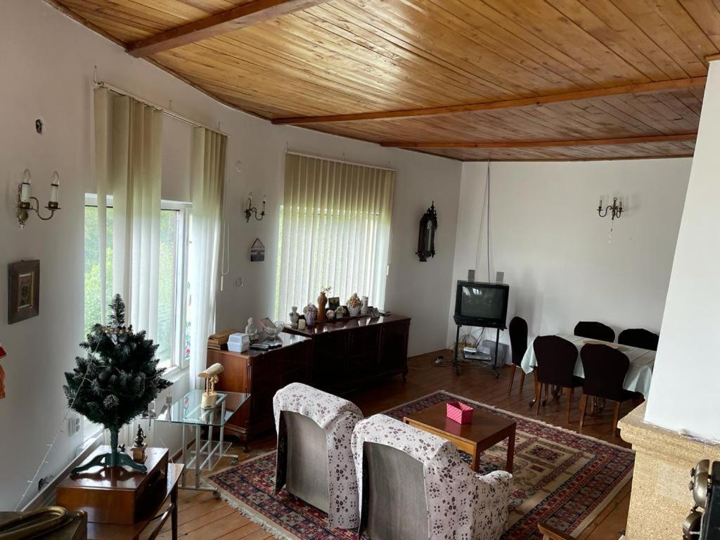 Valea Lunga-Cricov Casa Adelinaヴィラ エクステリア 写真