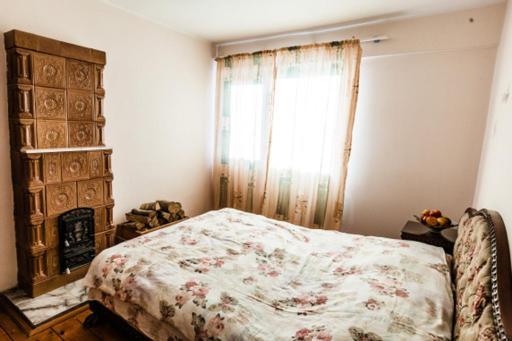 Valea Lunga-Cricov Casa Adelinaヴィラ エクステリア 写真