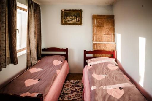 Valea Lunga-Cricov Casa Adelinaヴィラ エクステリア 写真