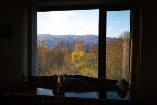Valea Lunga-Cricov Casa Adelinaヴィラ エクステリア 写真