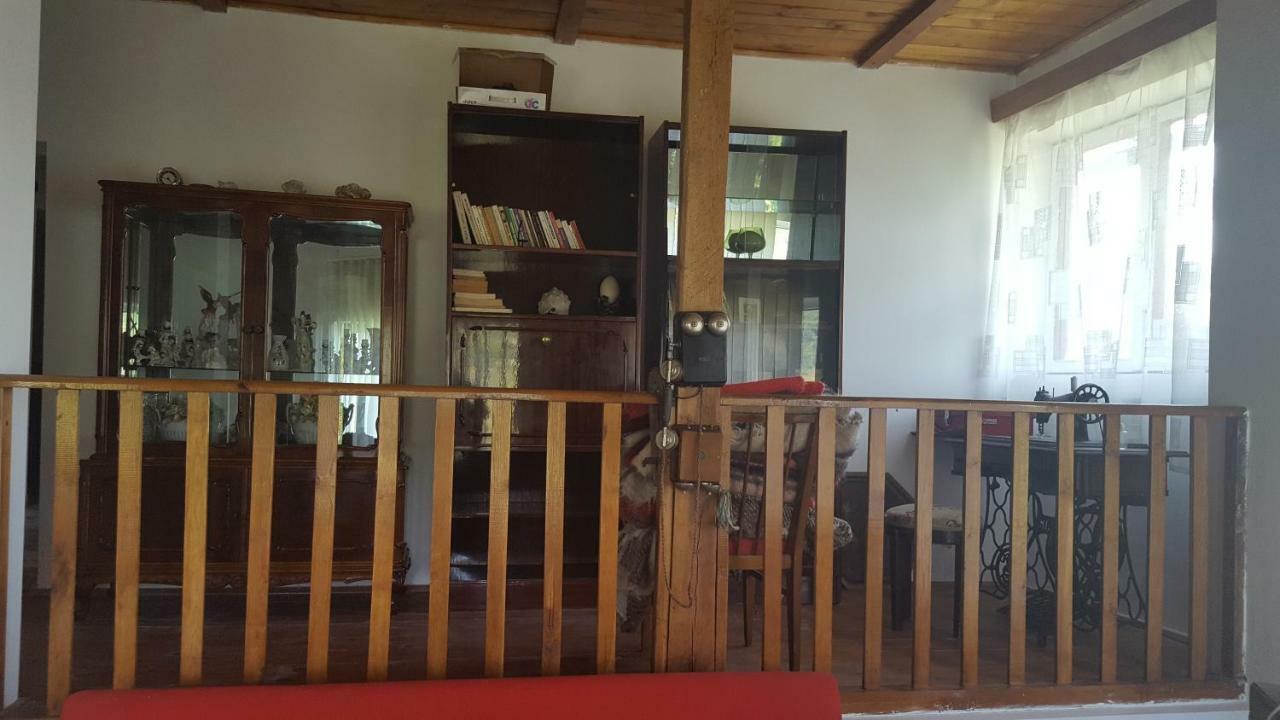 Valea Lunga-Cricov Casa Adelinaヴィラ エクステリア 写真